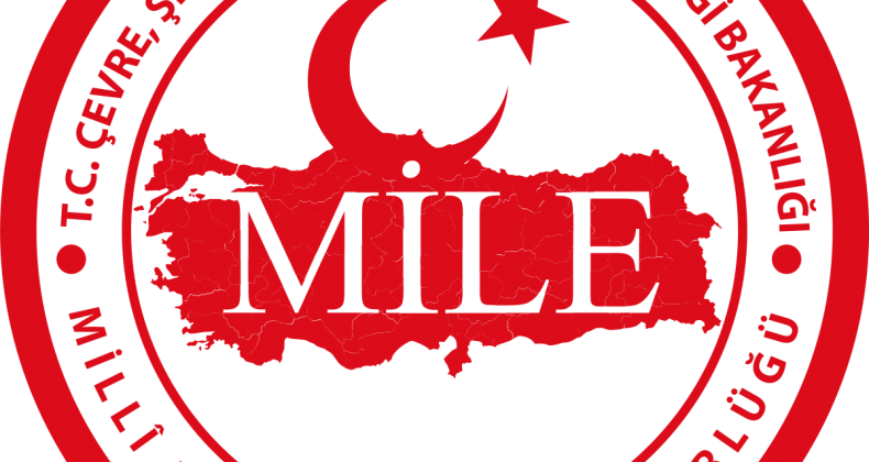 T.C. Gemlik Kaymakamlığı Milli Emlak Müdürlüğü İlanı